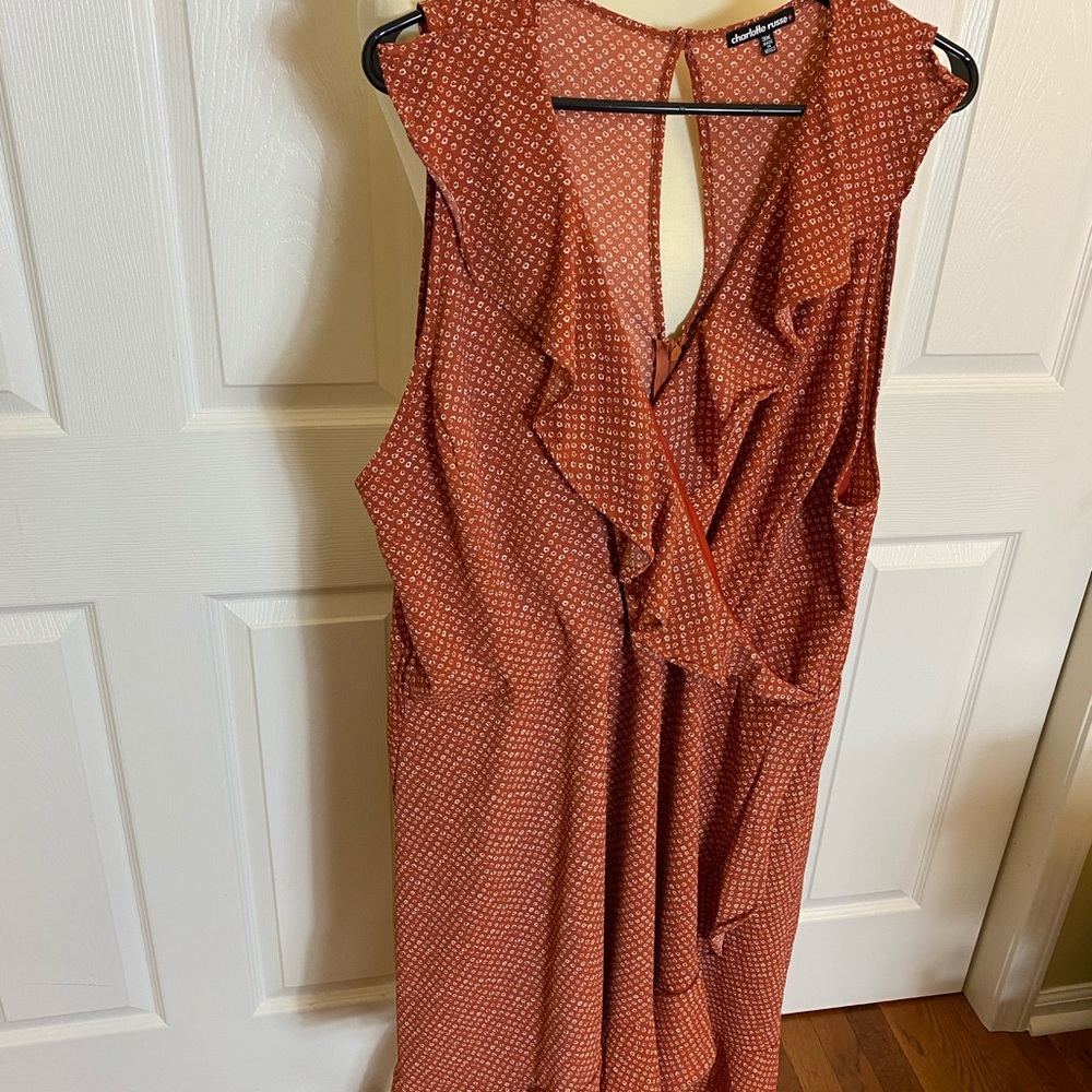 Charlotte Russe 3X Retro Ruffled Mini - Picture 3 of 7
